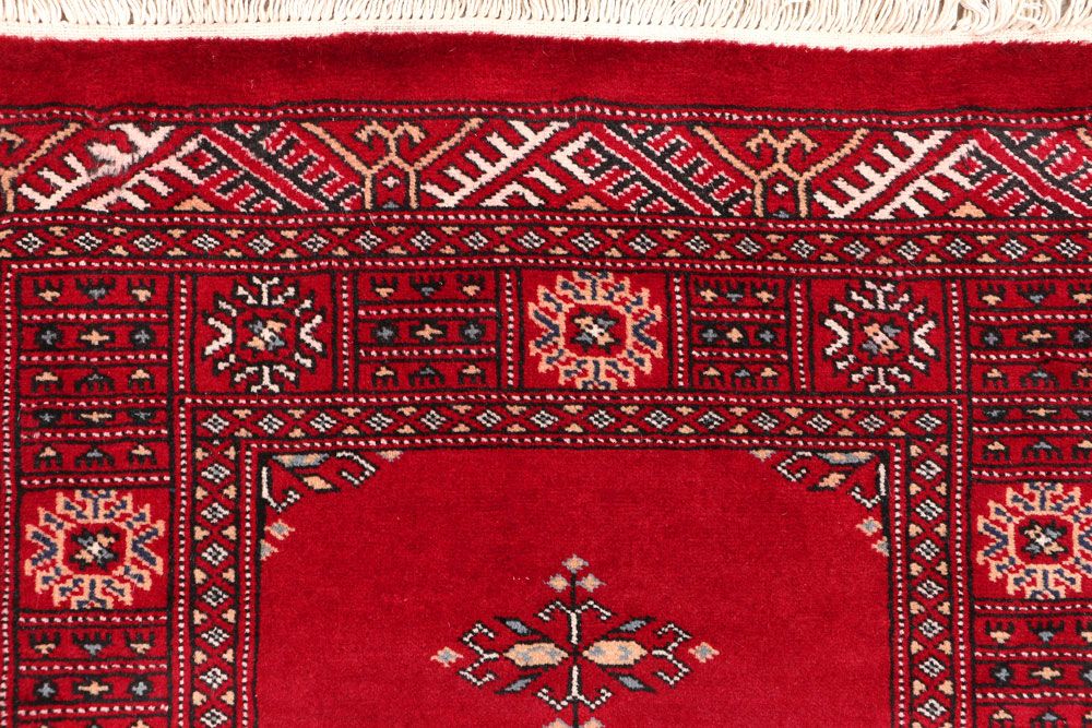 Butterfly 2' 8 x 13' 3 - No. 46983 - ALRUG Rug Store