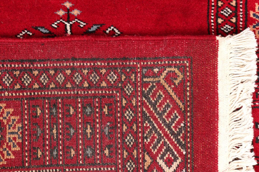 Butterfly 2' 8 x 13' 3 - No. 46983 - ALRUG Rug Store