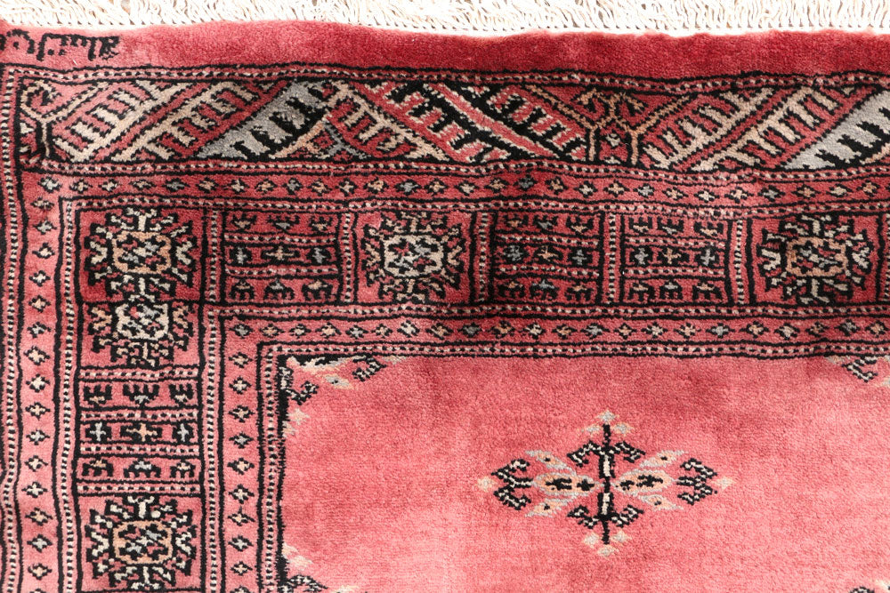 Light Coral Butterfly 2' 6 x 14' 5 - No. 46996 - ALRUG Rug Store