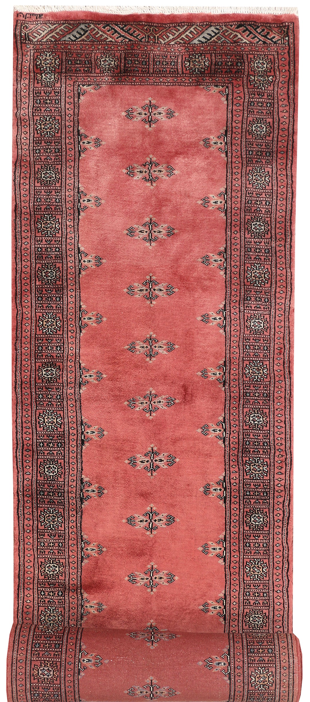 Light Coral Butterfly 2' 6 x 14' 5 - No. 46996 - ALRUG Rug Store