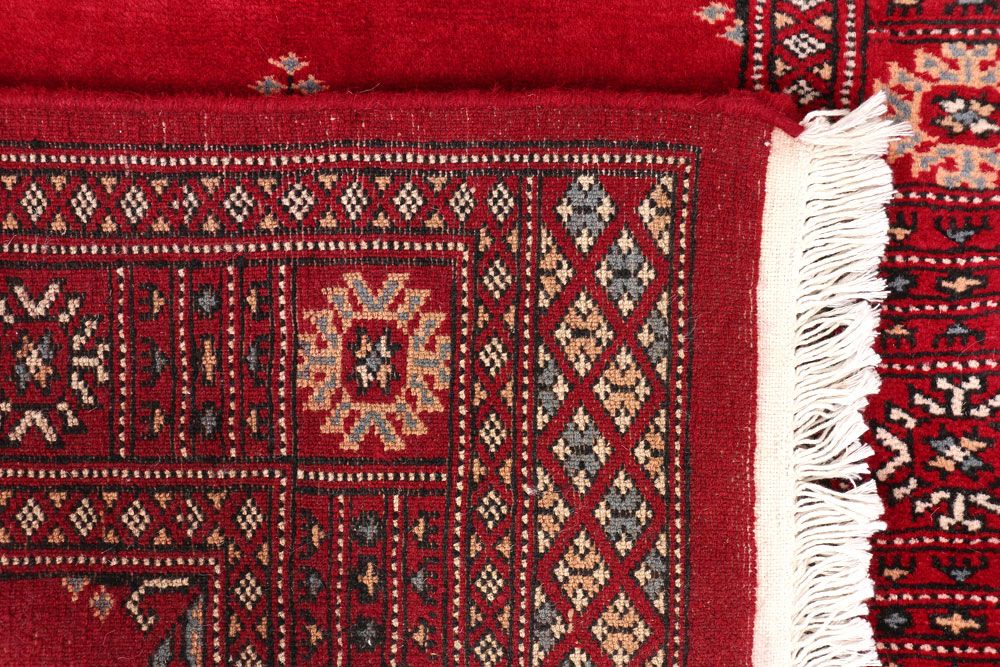Butterfly 2' 7 x 13' 5 - No. 47003 - ALRUG Rug Store