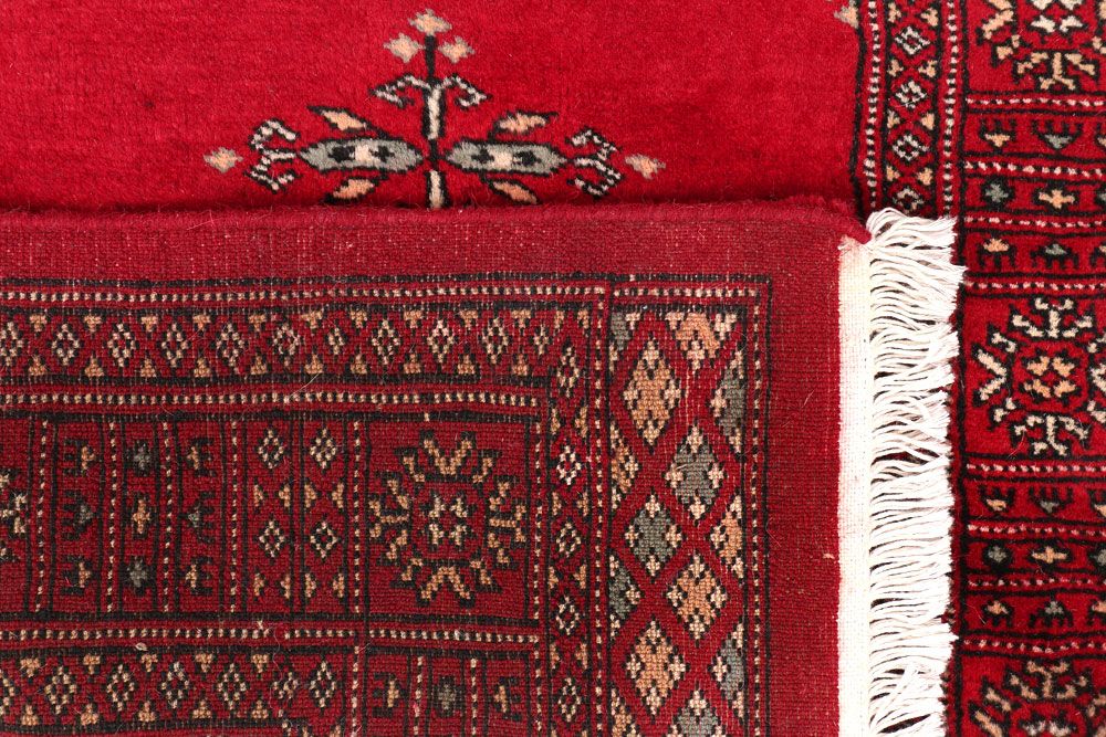 Butterfly 2' 6 x 13' 3 - No. 47042 - ALRUG Rug Store