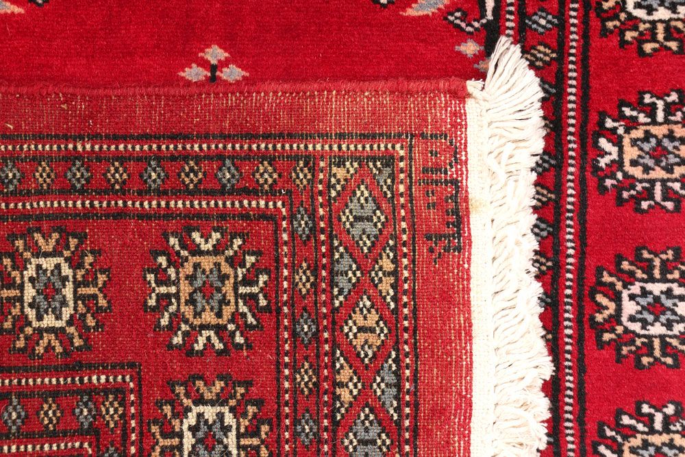 Butterfly 2' 1 x 6' 3 - No. 47393 - ALRUG Rug Store