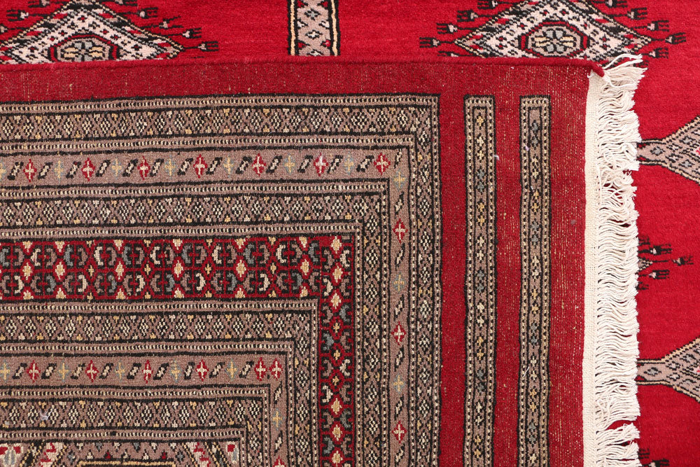 Firebrick Jaldar 6' 7 x 10' - No. 47776 - ALRUG Rug Store