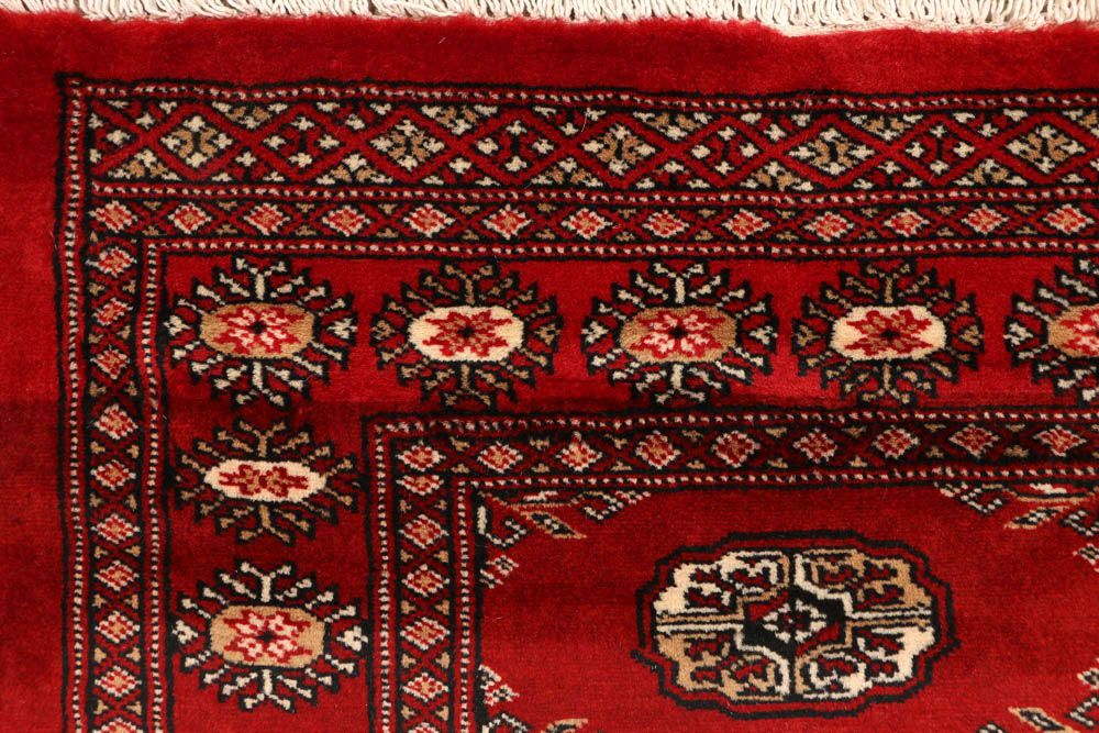 Bokhara 2' 7 x 9' 5 - No. 48175 - ALRUG Rug Store