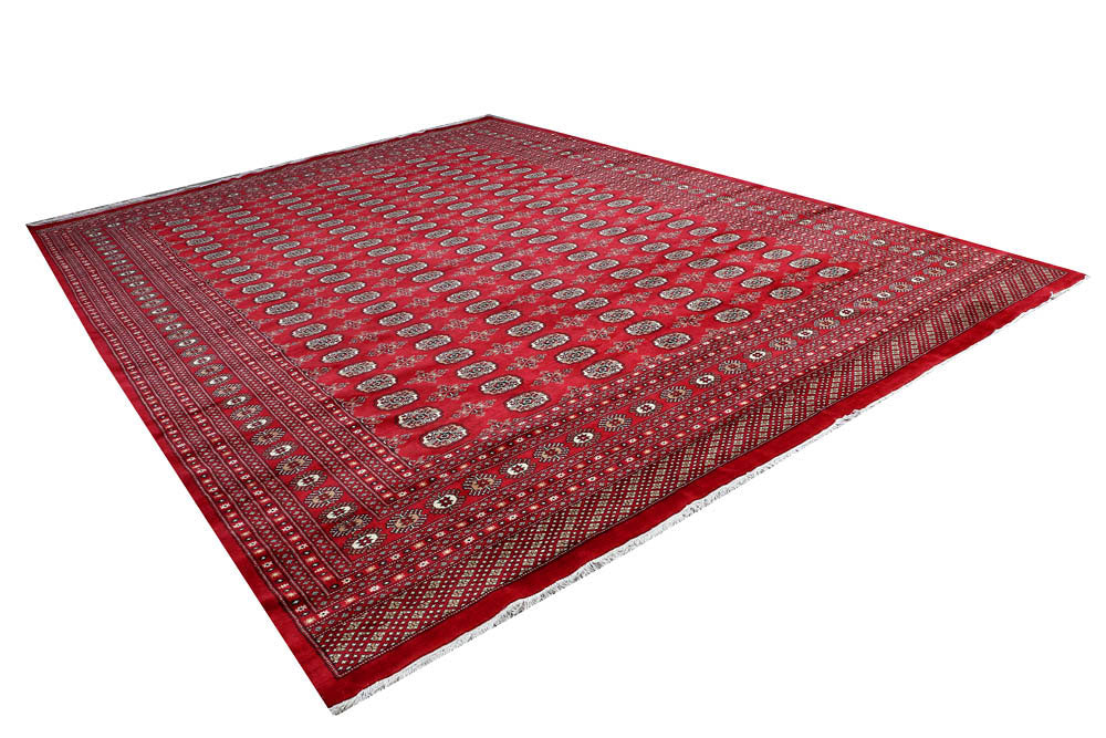 Firebrick Bokhara 10' 2 x 13' 7 - No. 48439 - ALRUG Rug Store