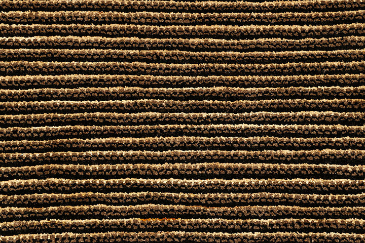 Saddle Brown Gabbeh 4' 6 x 6' 8 - No. 55715 - ALRUG Rug Store