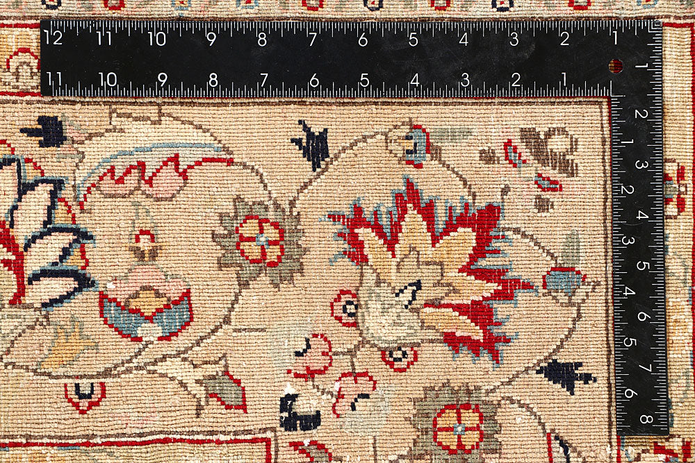 Firebrick Mahal 6' 7 x 9' 6 - No. 56709 - ALRUG Rug Store