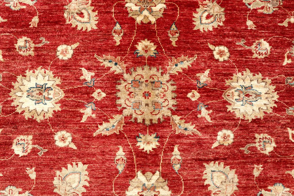 Ziegler 5' x 6' 6 - No. 57520 - ALRUG Rug Store