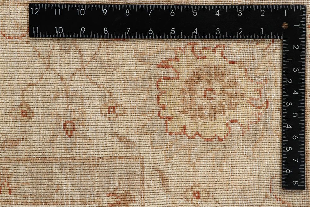 Ziegler 5' 5 x 8' - No. 58140 - ALRUG Rug Store