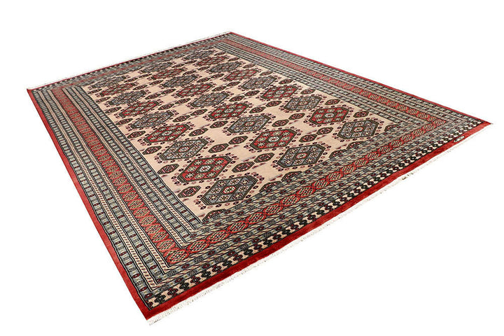 Cornsilk Caucasian 8'  x" 11' " - No. QA43968