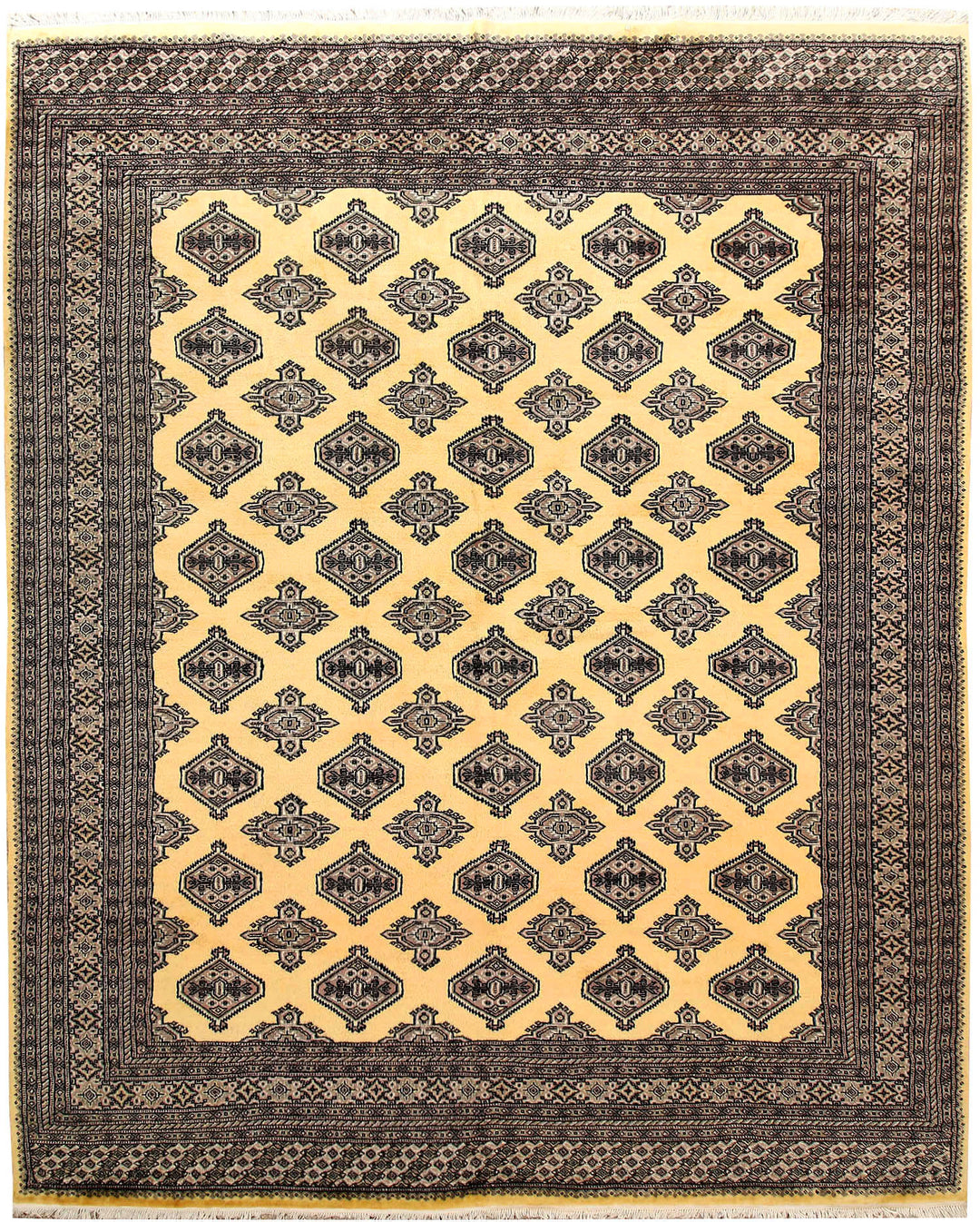 Light Goldenrod Yellow Jaldar 7' 10 x 9' 10 - No. 59179 - ALRUG Rug Store