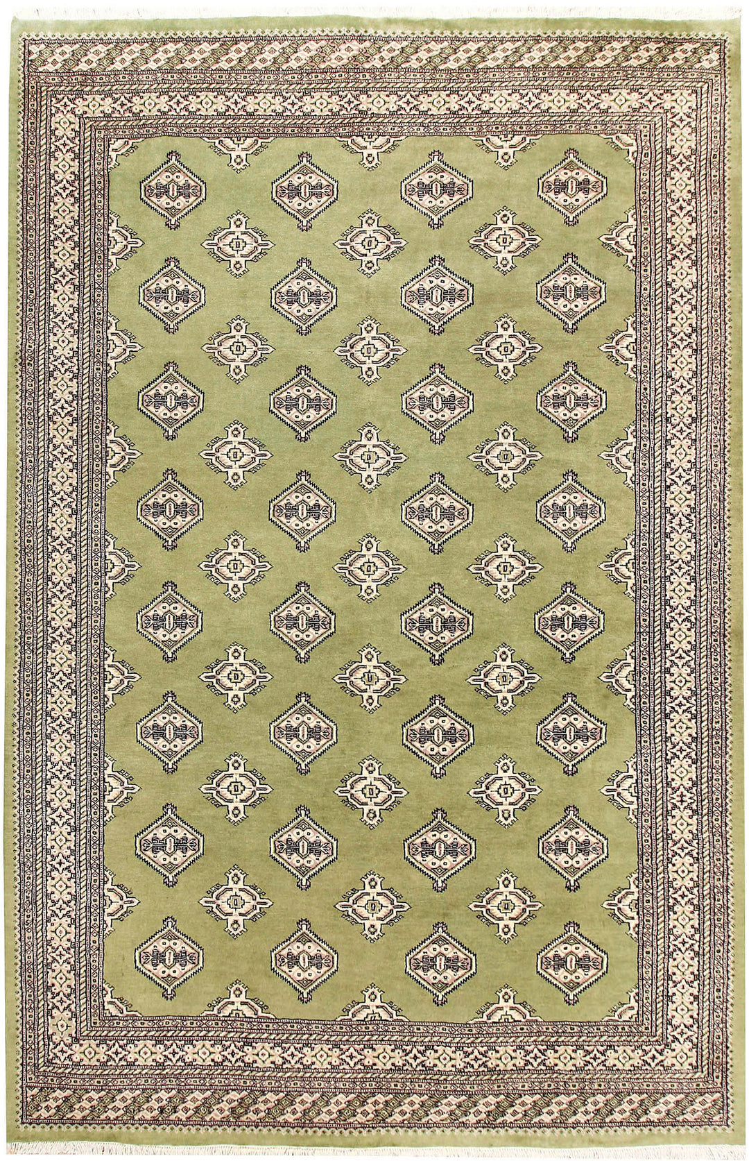 Olive Jaldar 6' 7 x 10' - No. 59194 - ALRUG Rug Store