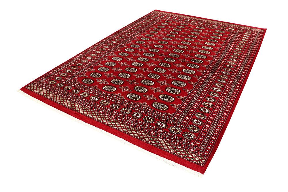 Bokhara 6' 9 x 9' 11 - No. 59199 - ALRUG Rug Store