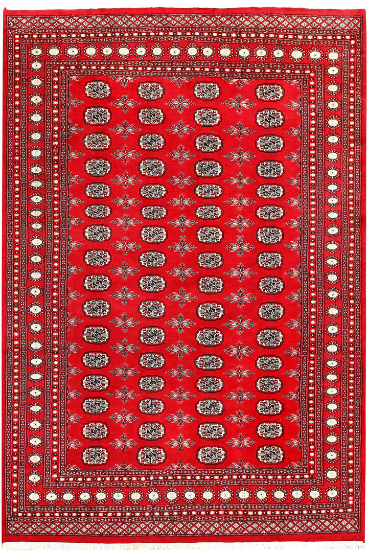Red Bokhara 6' 11 x 10' 1 - No. 59200 - ALRUG Rug Store