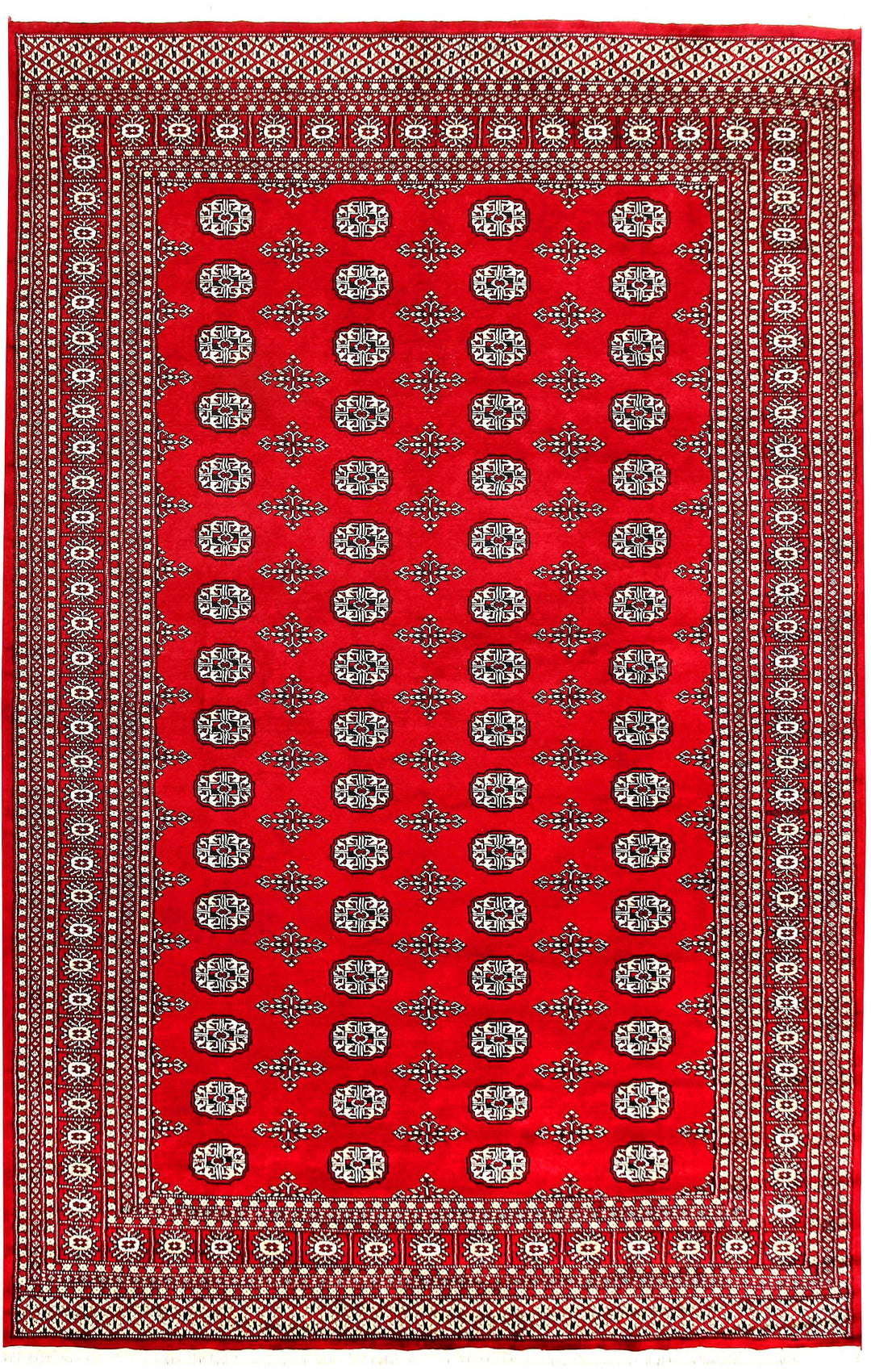 Red Bokhara 6' 7 x 10' 1 - No. 59209 - ALRUG Rug Store