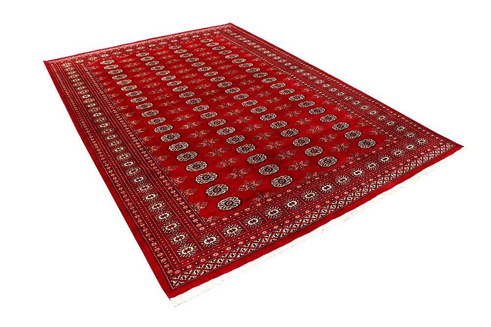 Bokhara 6' 8 x 9' 7 - No. 59220 - ALRUG Rug Store
