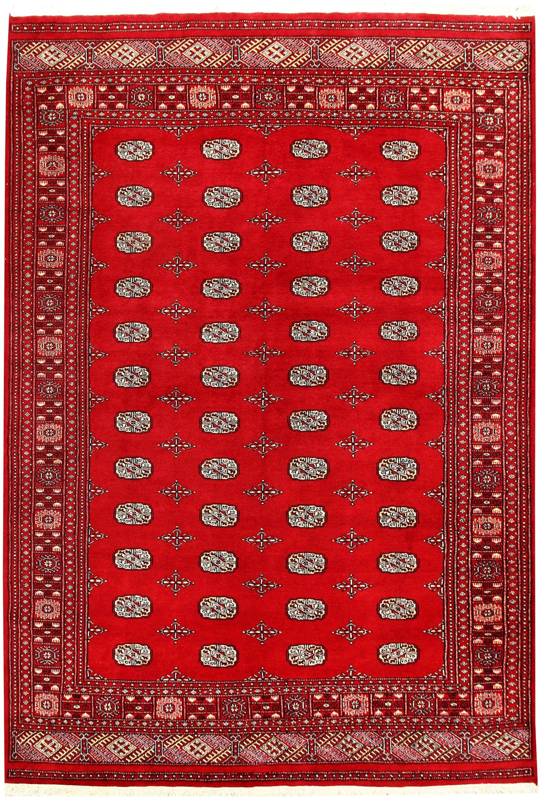 Bokhara 6' 9 x 9' 9 - No. 59228 - ALRUG Rug Store