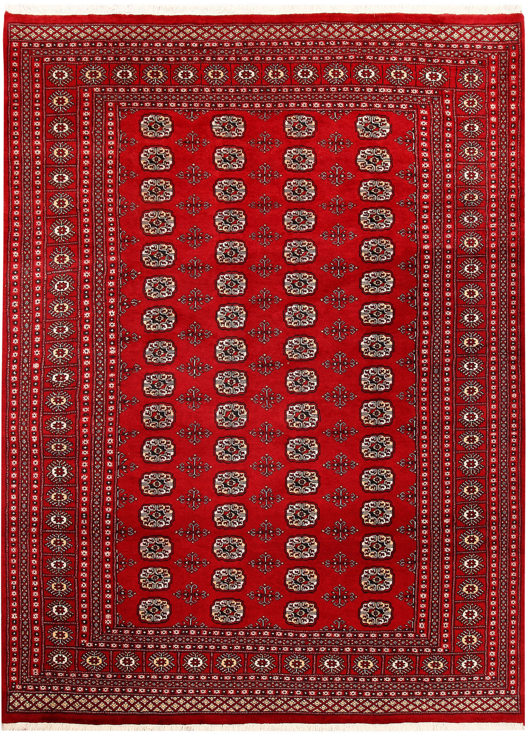 Firebrick Bokhara 6' 11 x 9' 5 - No. 59235 - ALRUG Rug Store