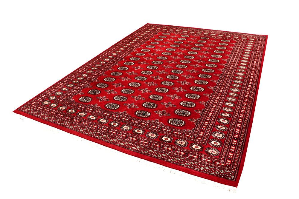 Bokhara 7' 1 x 10' 1 - No. 59236 - ALRUG Rug Store