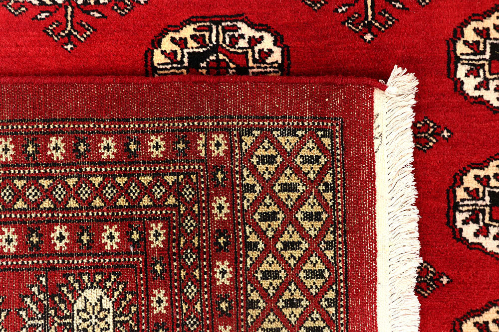 Firebrick Bokhara 6' 8 x 10' - No. 59239 - ALRUG Rug Store