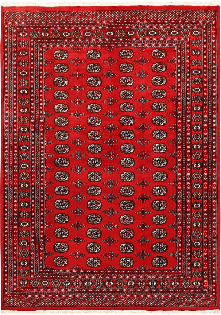 Firebrick Bokhara 7' x 9' 9 - No. 59246 - ALRUG Rug Store