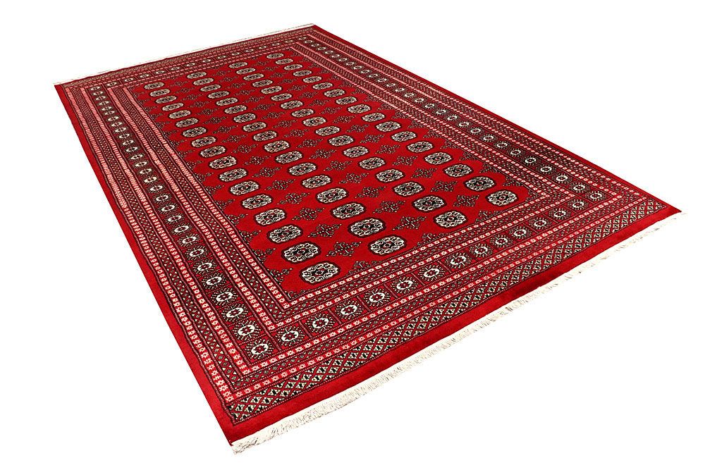 Bokhara 6' 7 x 10' 5 - No. 59248 - ALRUG Rug Store
