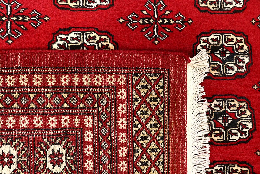 Bokhara 6' 7 x 10' 5 - No. 59248 - ALRUG Rug Store