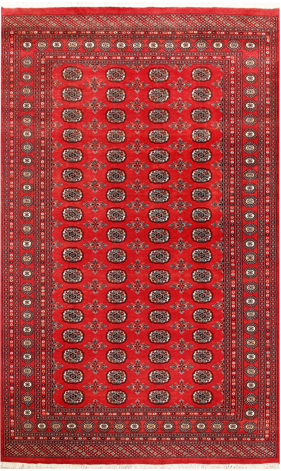 Firebrick Bokhara 6' 7 x 10' 8 - No. 59249 - ALRUG Rug Store