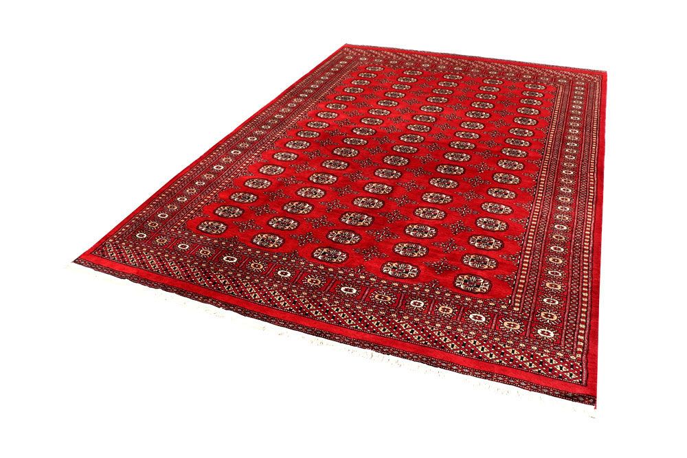 Bokhara 6' 6 x 9' 9 - No. 59250 - ALRUG Rug Store
