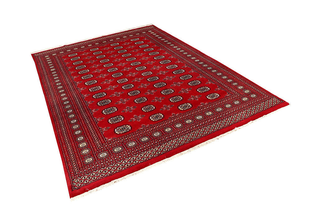 Firebrick Bokhara 6' 7 x 9' 1 - No. 59254 - ALRUG Rug Store