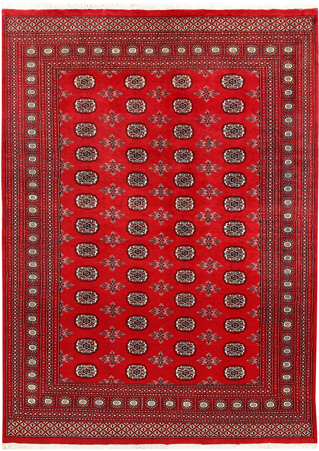 Firebrick Bokhara 6' 7 x 9' 1 - No. 59254 - ALRUG Rug Store