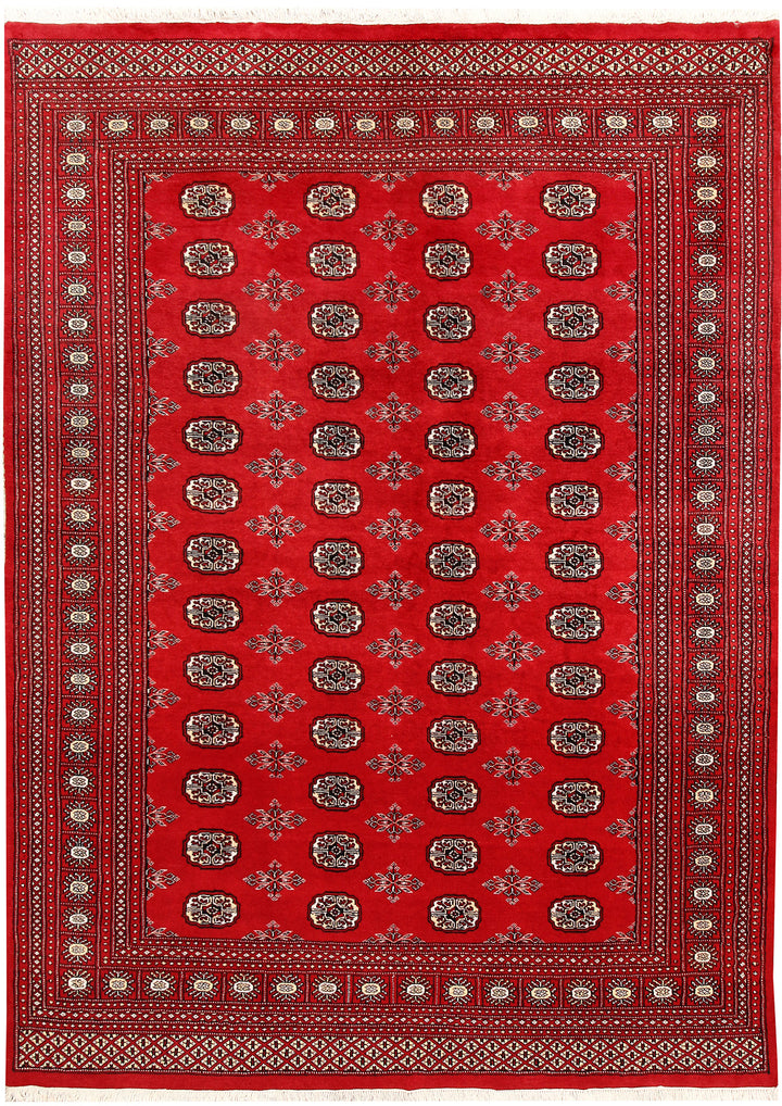 Firebrick Bokhara 6' 7 x 9' 1 - No. 59254 - ALRUG Rug Store
