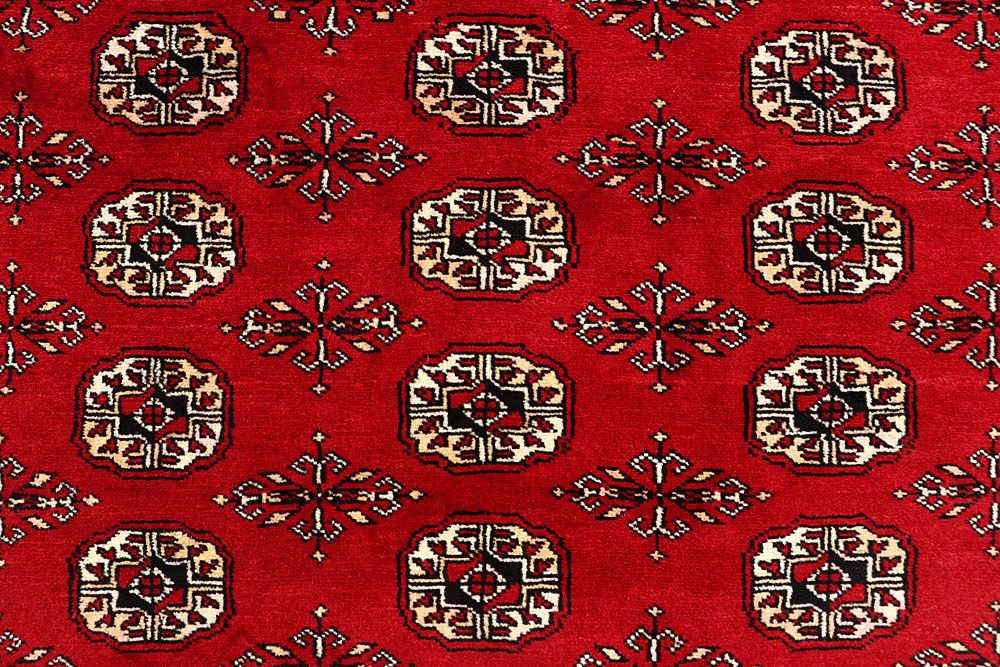 Bokhara 6' 11 x 10' - No. 59264 - ALRUG Rug Store
