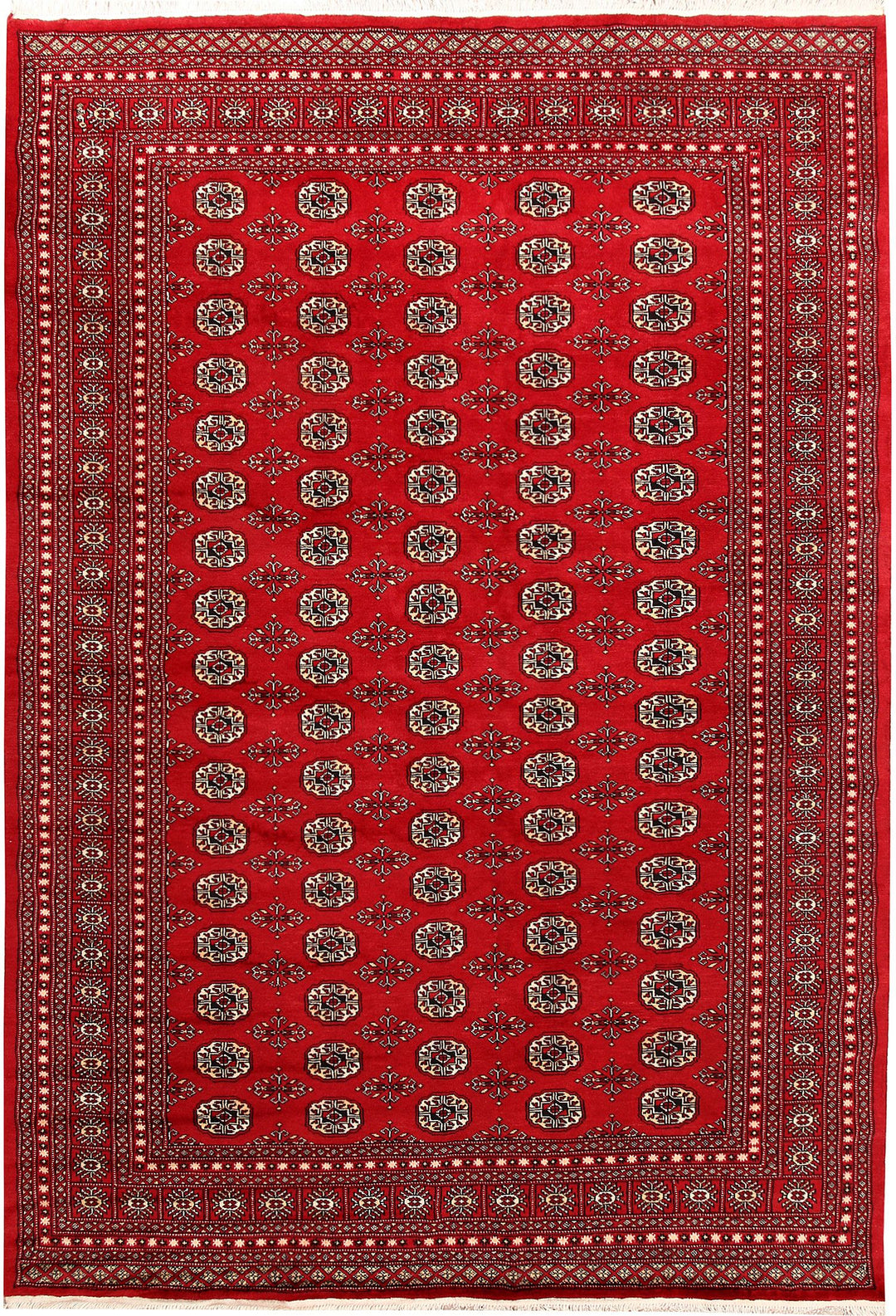 Bokhara 6' 11 x 10' - No. 59264 - ALRUG Rug Store