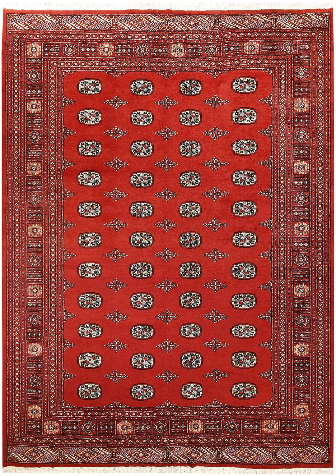 Bokhara 7' 1 x 9' 10 - No. 59266 - ALRUG Rug Store