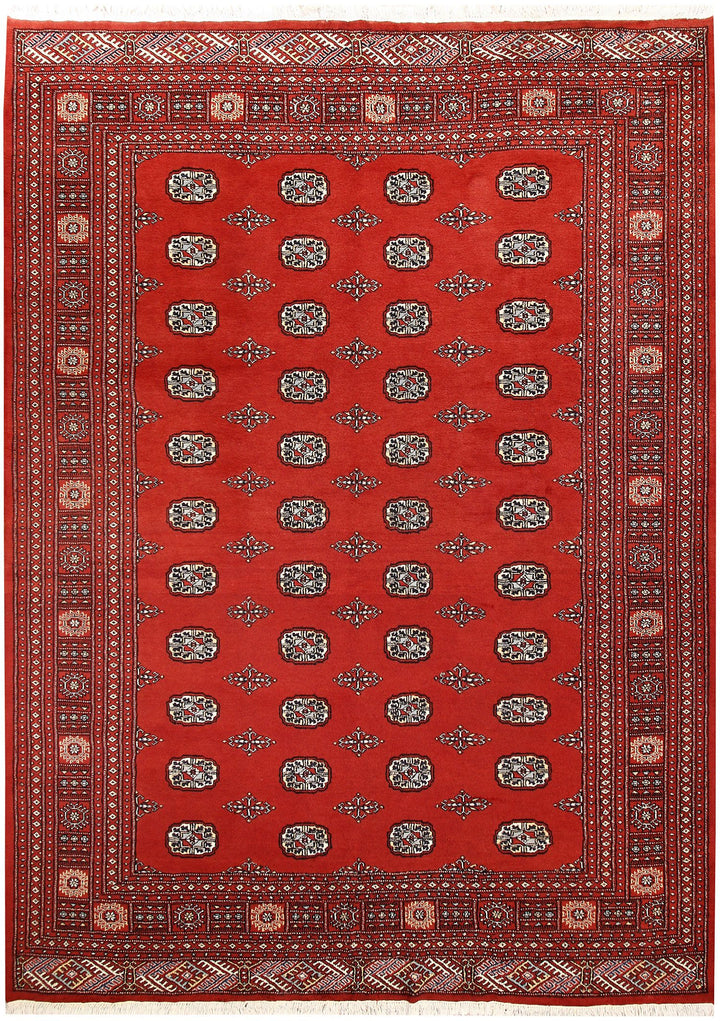 Bokhara 7' 1 x 9' 10 - No. 59266 - ALRUG Rug Store
