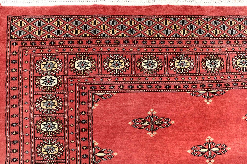 Butterfly 6' 8 x 9' 11 - No. 59275 - ALRUG Rug Store