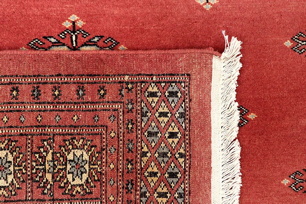 Butterfly 6' 8 x 9' 11 - No. 59275 - ALRUG Rug Store