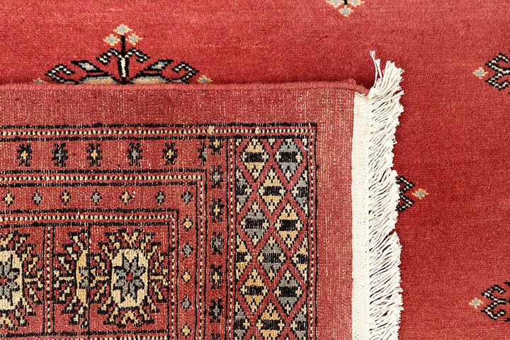 Butterfly 6' 8 x 9' 11 - No. 59275 - ALRUG Rug Store