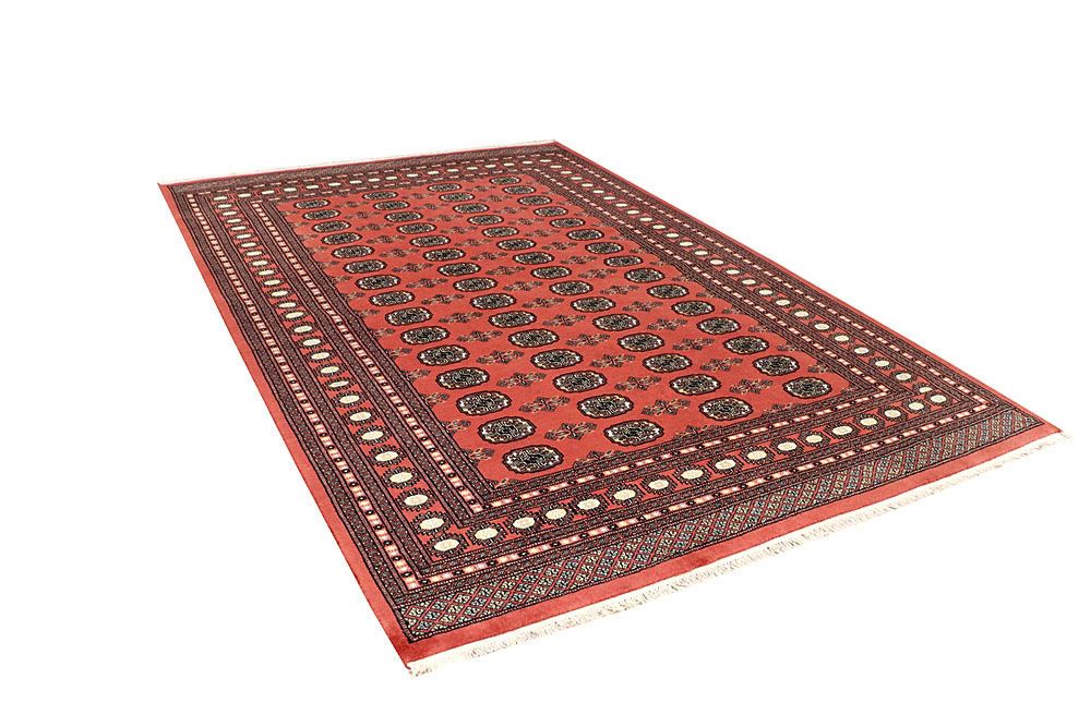 Bokhara 6' 6 x 9' 9 - No. 59277 - ALRUG Rug Store