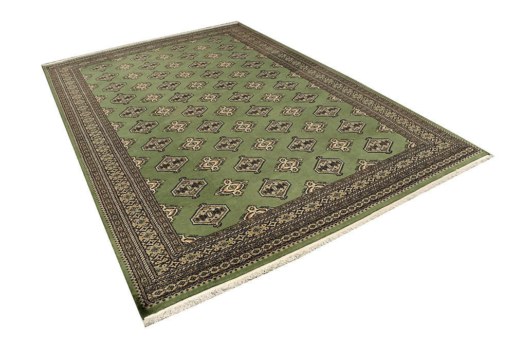 Olive Jaldar 6' 9 x 10' 2 - No. 59294 - ALRUG Rug Store