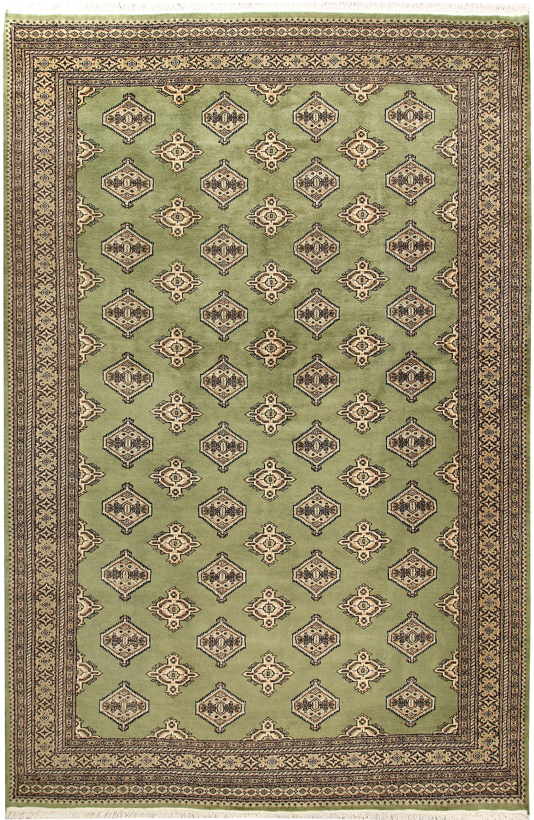 Olive Jaldar 6' 9 x 10' 2 - No. 59294 - ALRUG Rug Store