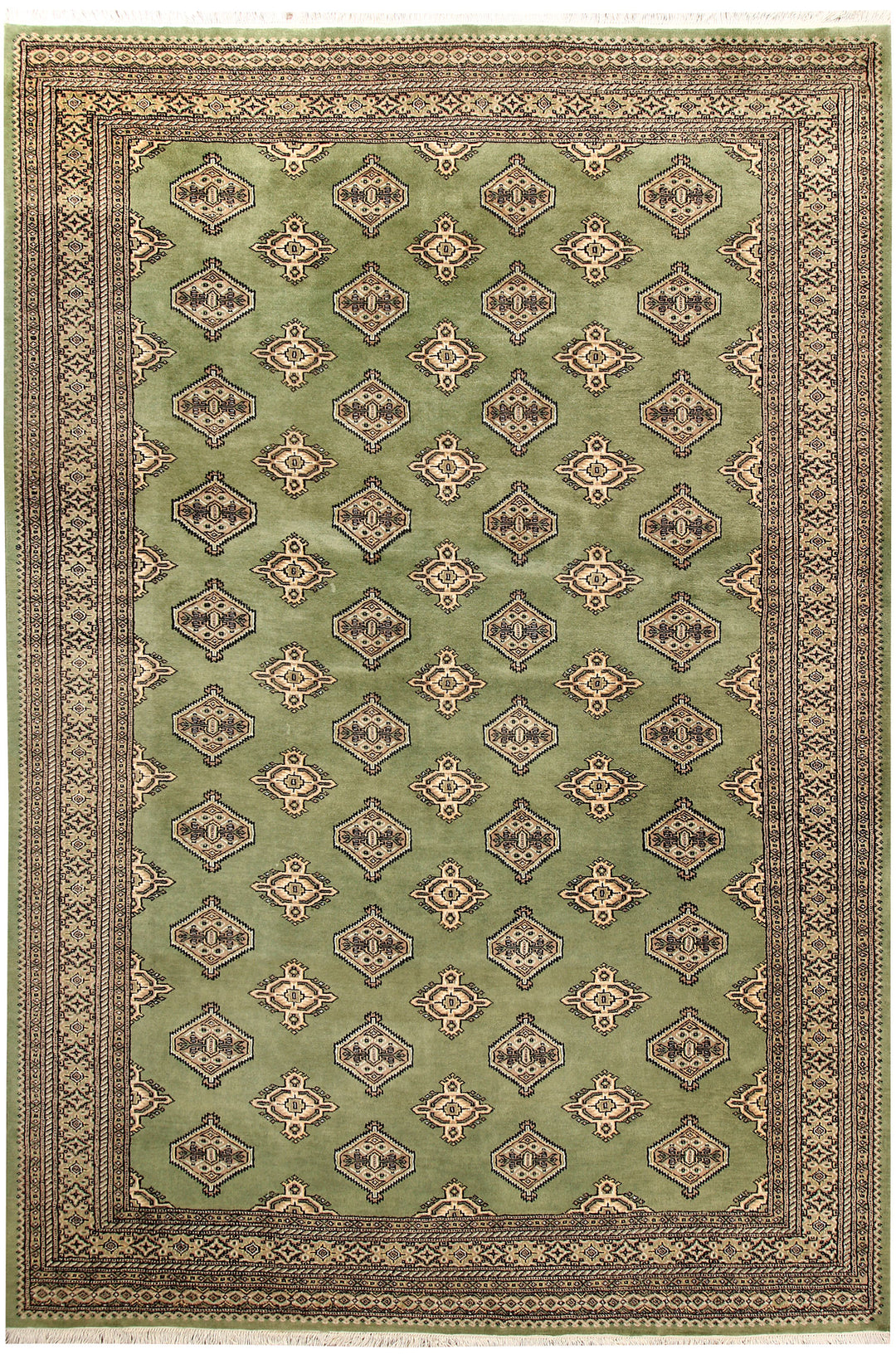 Olive Jaldar 6' 9 x 10' 6 - No. 59295 - ALRUG Rug Store