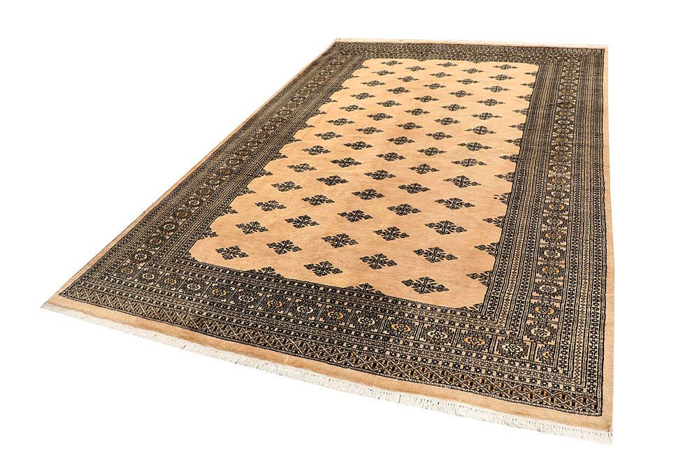 Butterfly 6' 7 x 10' 3 - No. 59313 - ALRUG Rug Store