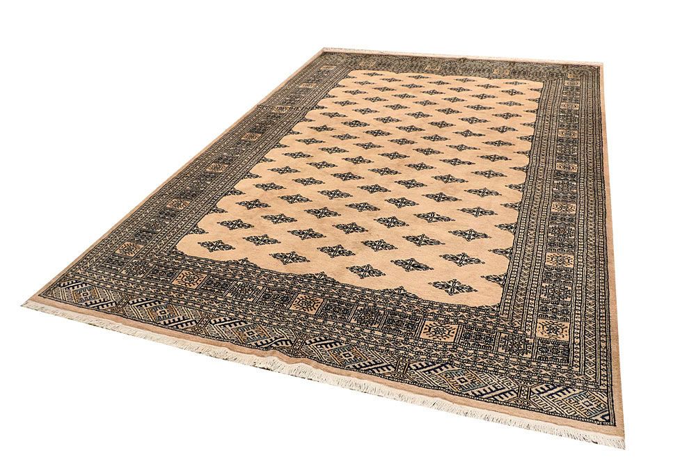 Butterfly 6' 11 x 10' 1 - No. 59318 - ALRUG Rug Store