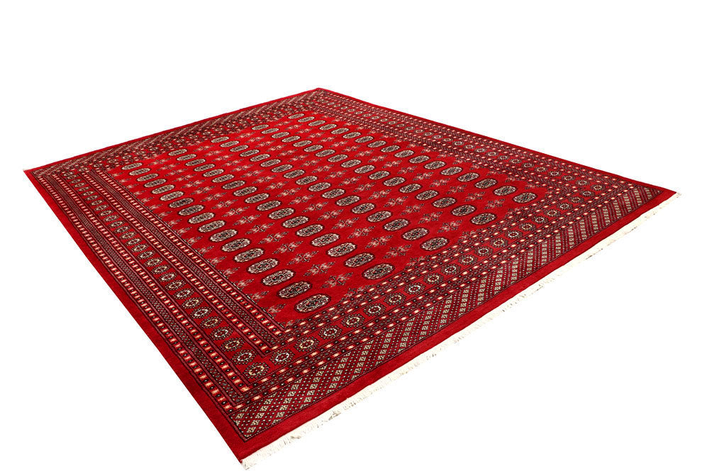 Firebrick Bokhara 8' 2 x 10' 5 - No. 59332 - ALRUG Rug Store