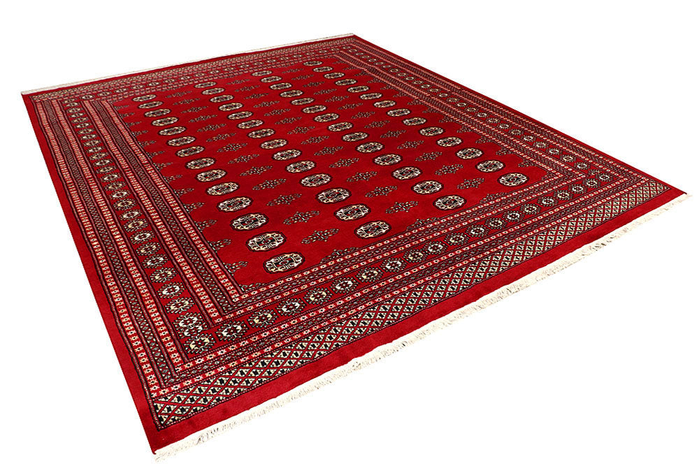 Firebrick Bokhara 8' x 9' 11 - No. 59337 - ALRUG Rug Store