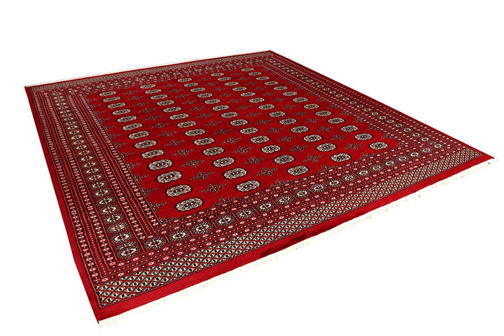 Firebrick Bokhara 8' 3 x 9' 11 - No. 59338 - ALRUG Rug Store