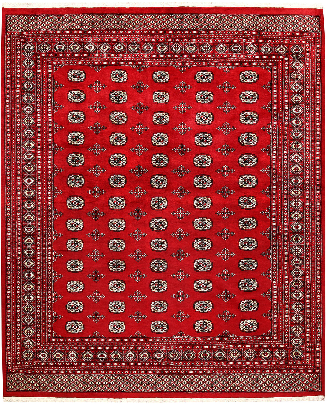 Firebrick Bokhara 8' 3 x 9' 11 - No. 59338 - ALRUG Rug Store